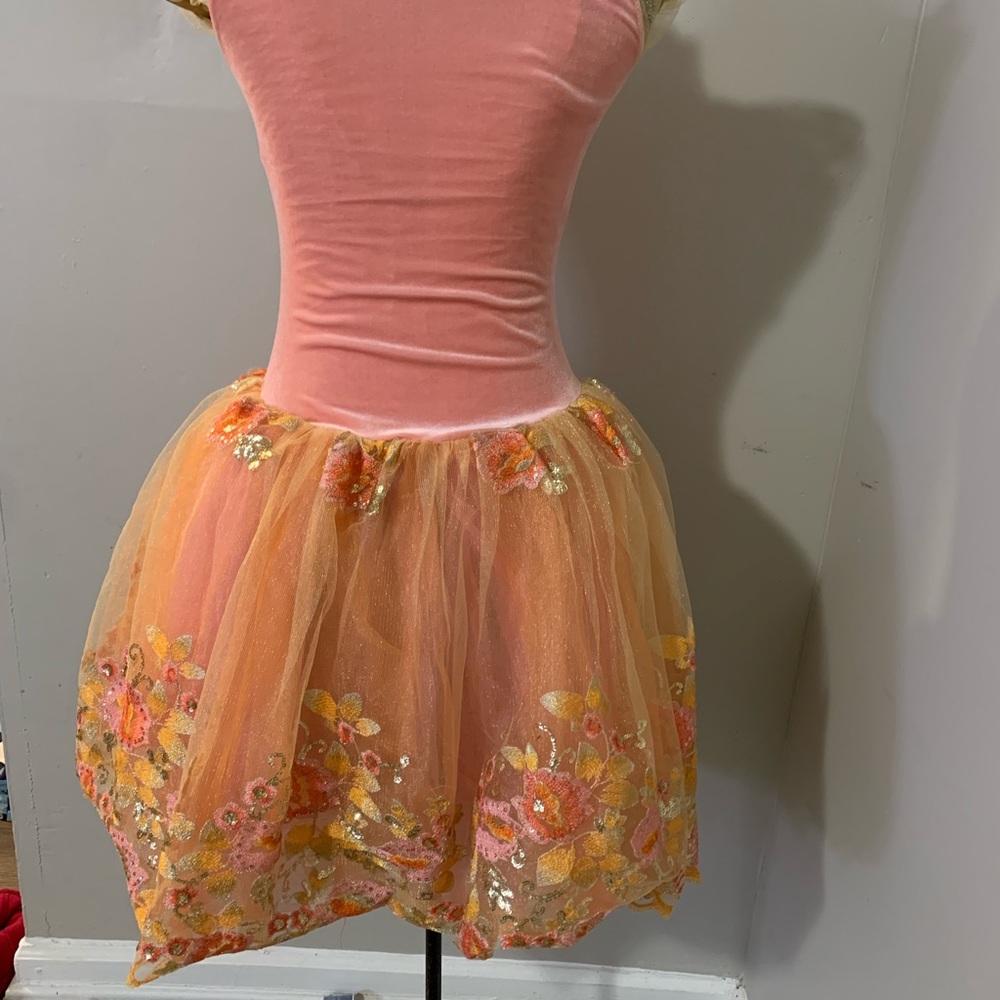Charming Pink and Orange Dance Costume - Picture 2 of 11